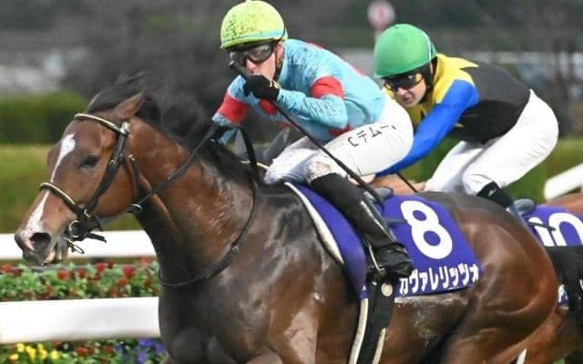 3歳マイル王決定戦・NHKマイルCなど3重賞/今週の競馬界の見どころ