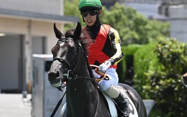 【京都新聞杯見どころ】良血ベレシートが日本ダービーに向けて虎視眈々