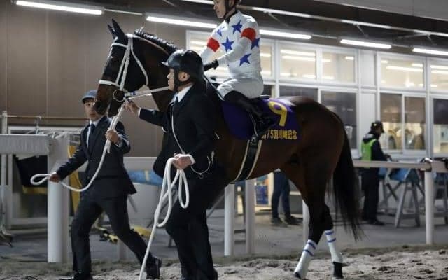 【名古屋GP注目馬】帝王賞への前哨戦 中央馬が実力を見せるか、地方馬が第1回以来の戴冠なるか