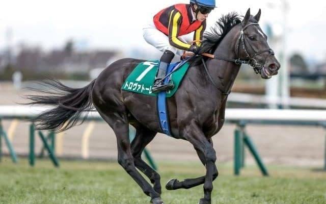 【エプソムC予想オッズ】トロヴァトーレが予想1番人気