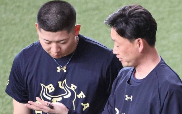 【生態メモ】ニジイロクワガタとは…オリックス岸田監督が京セラＤの外野で発見“幸運の昆虫”