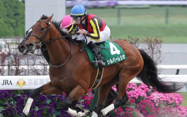 【ユニコーンS】岩田望「大きいところも狙える馬」シルバーレシオが重賞初制覇