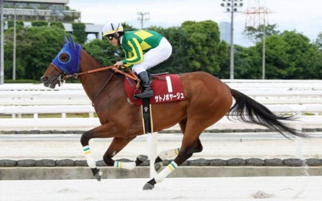 【兵庫CS】戸崎「明日から平日に戻りますが、切り替えて頑張っていきましょう！」サトノボヤージュが断然の支持に応える