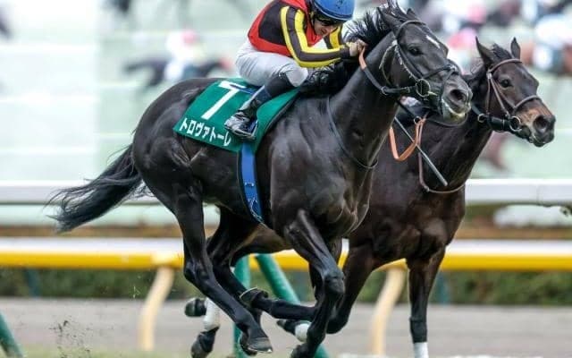 【エプソムC出走馬・騎手確定】トロヴァトーレ＆C.ルメール騎手、カラマティアノス＆津村明秀騎手など17頭