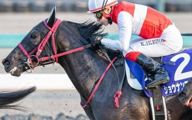 いとこは名馬イクイノックス ショウナンマクベスが待望の復帰戦で3勝目なるか
