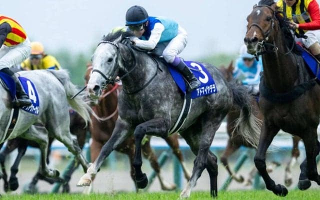 【武豊日記】天皇賞の振り返りと今週のレースの抱負