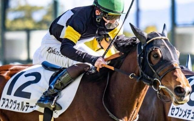 フランケル×レッツゴードンキの超良血 アスクヴォルテージが初の芝1200mで1年ぶり勝利なるか