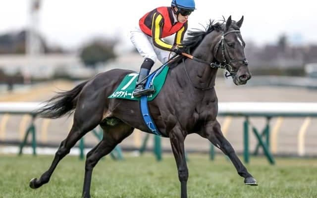 【エプソムC枠順確定】トロヴァトーレは6枠11番、カラマティアノスは2枠4番