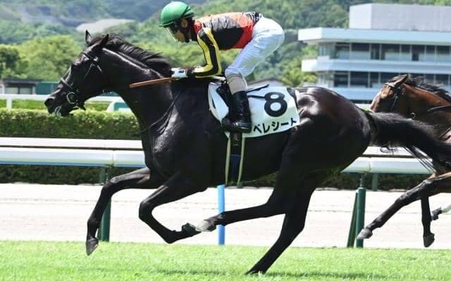 【京都新聞杯予想】ダービーへ飛躍狙う実力馬集結 京都外回りで真価問う一戦