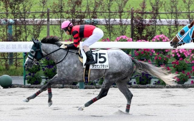 京都１ＲでオウケンブラッドがＶ　ＪＲＡでの競走馬登録１頭のみのオウケンワールド産駒が初勝利　オーナーサイドの執念実る