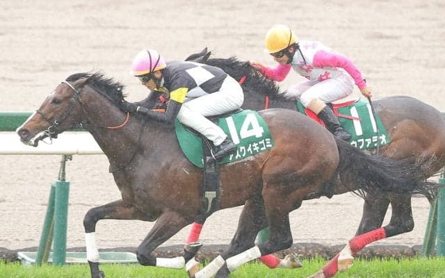 【競馬予想】NHKマイルＣの狙い目を血統でチェック　年明けデビュー馬の無傷の３連勝はある？