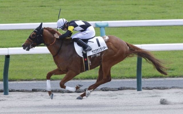【京都6R】激しい先行争い制したアスクケンタッキーが逃げ切りV…7番人気の伏兵