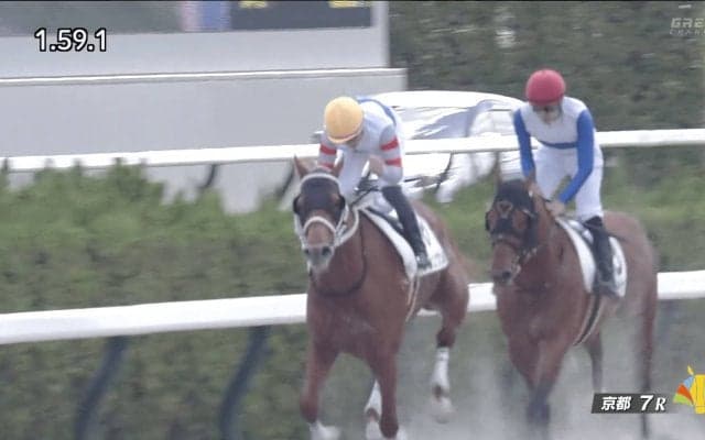 「G1を勝ったみたい、うれしい」5カ月ぶり白星に“らしさ全開”のガッツポーズ…ミルコ・デムーロ騎手が復帰後初勝利　