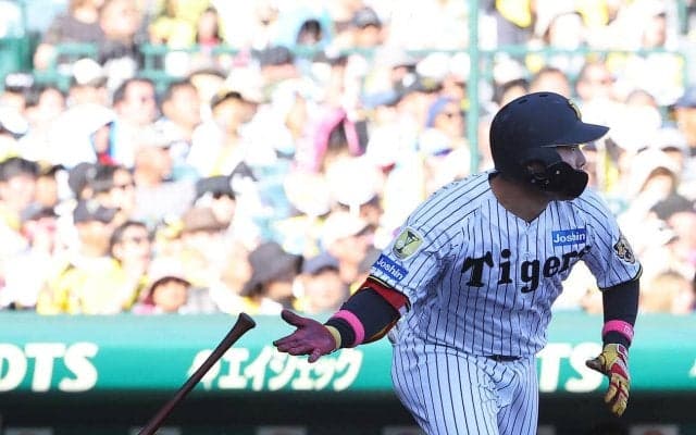【阪神】代打嶋村麟士朗、粘りの一打でチーム51イニングぶりタイムリー