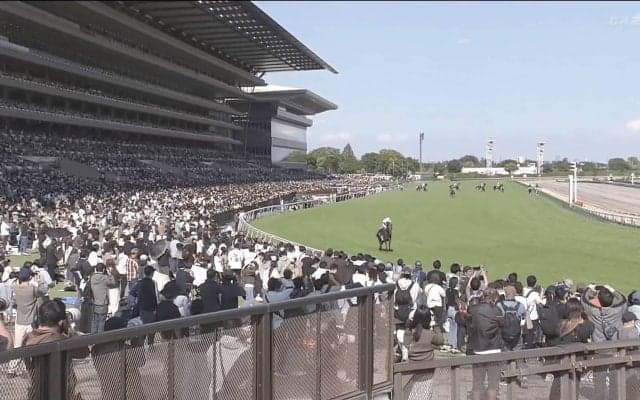名馬の登場に競馬ファン大歓声… 大一番で“誘導役”先輩馬が母の日のあしらいで登場のシーンが話題に「美しさも可愛さも兼ね備える」