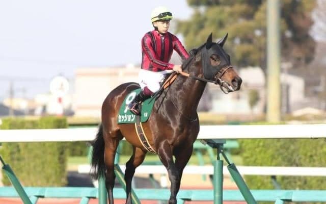 【先週のJRA抹消馬】芝マイルで活躍のセッション、ダ1800mで5勝のロードアヴニールなど