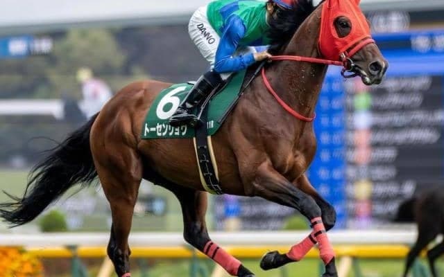 ディープ産駒が17年連続のJRA重賞制覇なるか トーセンリョウが新潟大賞典で初タイトル狙う