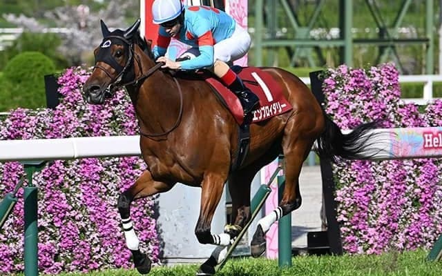 【ヴィクトリアM枠順確定】エンブロイダリーは6枠12番、カムニャックは4枠8番