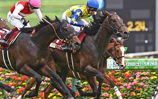 【新潟大賞典枠順確定】シュガークンは8枠15番、ドゥラドーレスは4枠6番
