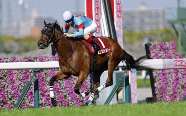 【ヴィクトリアマイル】二冠牝馬エンブロイダリーは6枠12番
