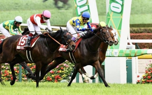 約2年ぶり実戦シュガークンに注目…武豊騎手騎乗馬