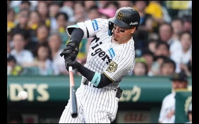 佐藤輝明、リーグ単独トップの11号　4戦ぶり豪快弾に本拠地熱狂…打撃「セ3冠」キープ