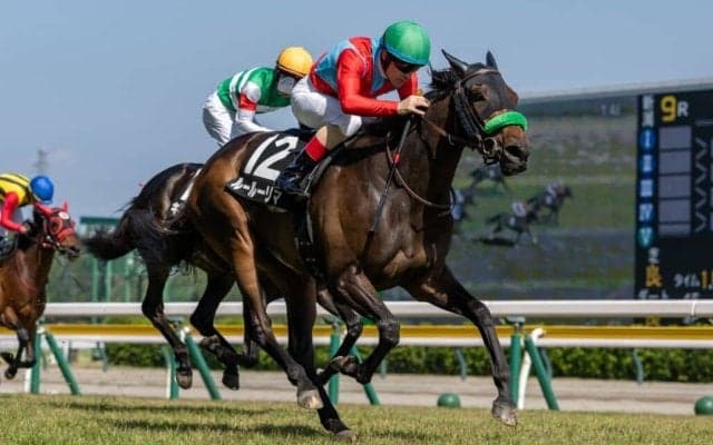 【石打特別】断然人気ルールーリマが差し切り快勝…ルメール騎手の手綱で2勝目