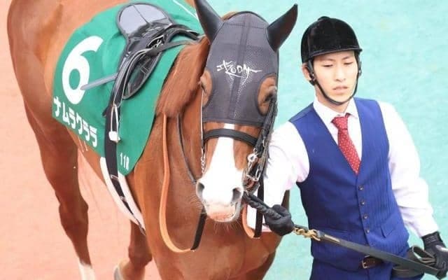 半姉はナムラクレア ナムラクララが栗東Sで古馬オープン初勝利なるか