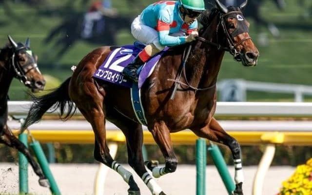 【ヴィクトリアマイル結果】2冠牝馬エンブロイダリーが完勝でGI・3勝目！ 2着はオークス馬カムニャック