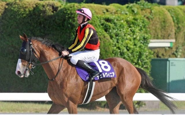 【ヴィクトリアＭ】レーン騎手がっくり「手応えの割に最後は…」２４年２冠牝馬チェルヴィニアは１６着大敗