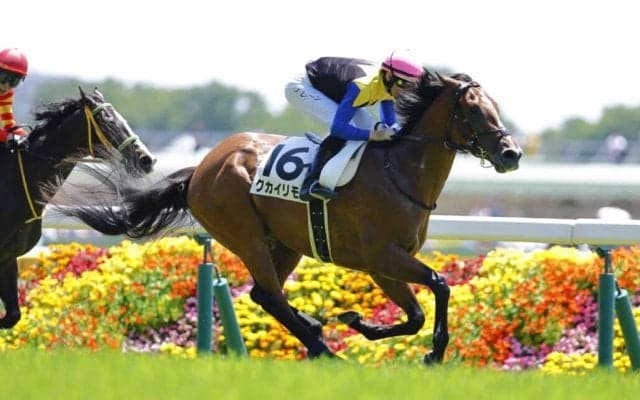 【東京4R】クカイリモクが断然人気に応える…レーンの手綱で初勝利