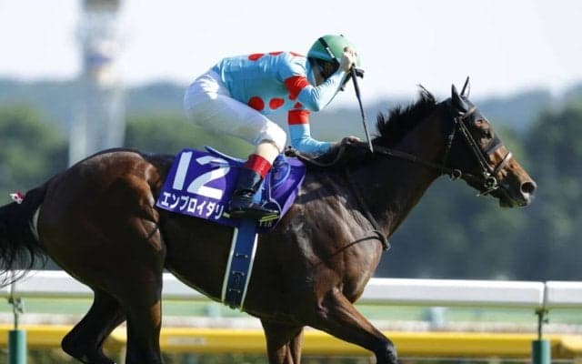 【ヴィクトリアマイル】ルメール「世界でのG1・100勝目」1番人気エンブロイダリーが完勝