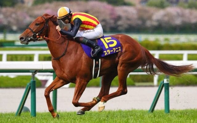 【オークス登録馬】桜花賞馬スターアニスなど22頭
