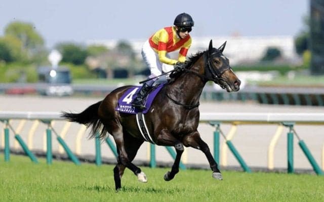 【ヴィクトリアマイル】武豊、巧みな逃げも「東京の直線は長い…」レース後ジョッキーコメント