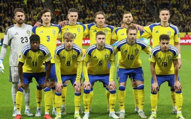 W杯での日本戦を控えるスウェーデンは「卑怯」　メンバー選考に代表OBが怒りの糾弾「理解が全くできない。むしろムカついてる」