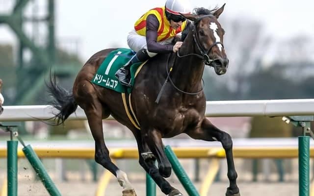 【オークス見どころ】得意の東京コースでドリームコアの末脚が炸裂する