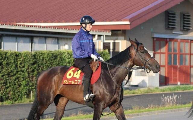 【オークス】超良血ドリームコアは１週前追いで前走と見違える動き　母は国内外Ｇ１・２勝のノームコア