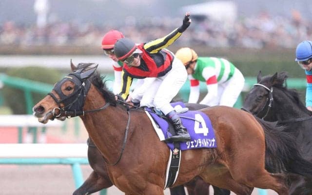 １２年の牝馬３冠ジェンティルドンナの墓碑をノーザンホースパークに建立「多くの人々に愛された名牝へ」１９日から一般公開