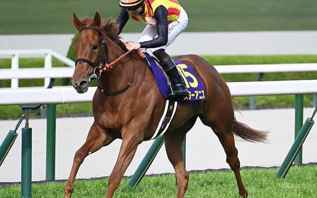 【AI予想・オークス】牝馬クラシック二冠目は王道路線を歩む馬が強さを見せる！ 人工知能も前走桜花賞組に高評価