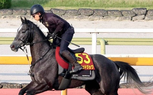 【オークス】無傷２連勝のアンジュドジョワが一発狙う　騎手時代にオークス３勝の福永調教師が送り込む未知の素質馬