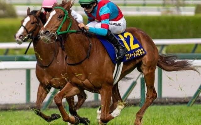 高杉吏麒騎手がGI初制覇なるか スウィートハピネスで直線一気狙う
