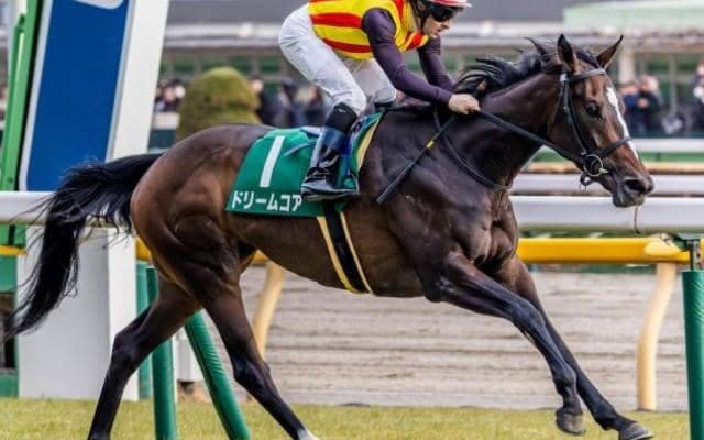 歴代最多タイのオークス5勝目へ C.ルメール騎手がドリームコアで参戦だ