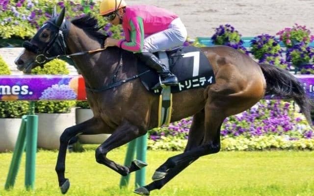 史上3組目の母仔オークス制覇なるか トリニティが一発狙う