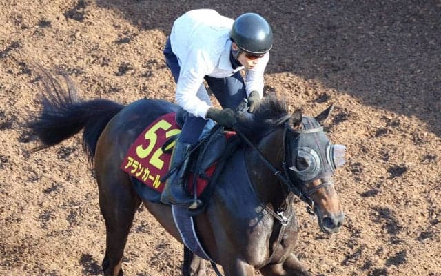 【オークス・追い切り】アランカールが火曜追いを敢行　斉藤崇調教師「あとはどれだけ体のメンテナンスを出来るか」