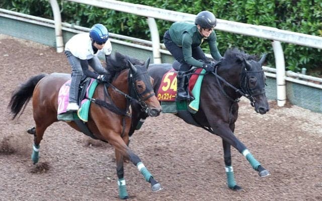 【Ｇ１トク捜リレー】栗東・松ケ下記者のオークス注目は？　樫の女王の背中知るトレーナーがひと工夫を加えた無傷２連勝馬