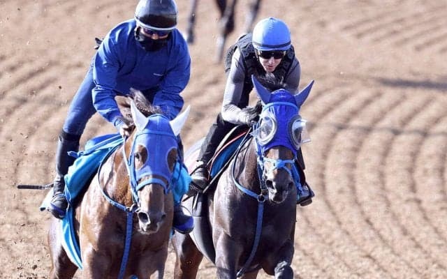 【オークス】トライアルＶの勢い維持！馬なりで半馬身先着したラフターラインズにレーン騎手「余裕をもっていい仕上がり」