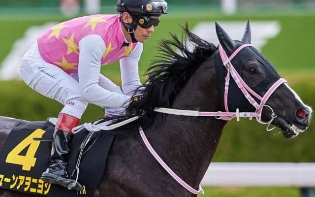 【平安S】27年ぶりの重賞勝利“ヲ”飾れるか ジューンアヲニヨシに要注目