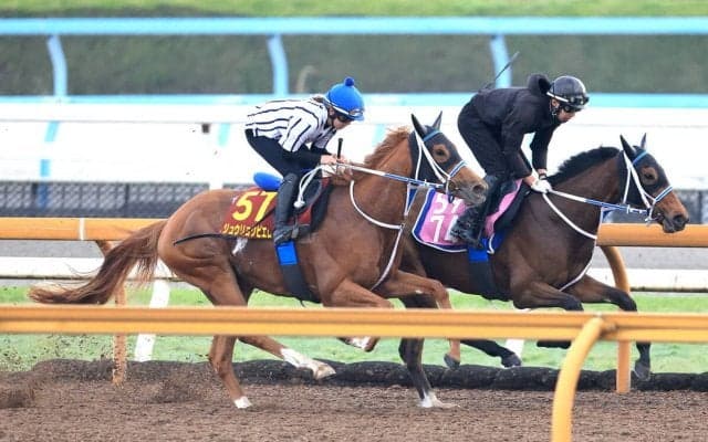 【オークス】最終追いは今村聖奈騎手が志願して騎乗　ジュウリョクピエロは迫力十分「最後、自分が乗って仕上げたい」