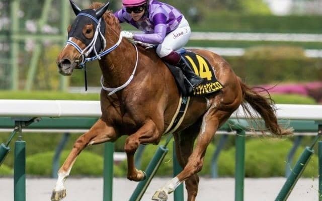 今村聖奈騎手がJRA所属女性ジョッキー初のGI制覇へ ジュウリョクピエロでオークス参戦だ