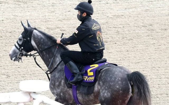 【注目馬動向】「選択肢の一つです」凱旋門賞登録のアドマイヤテラの秋は３択　国内路線に加え、もう一つ目標のレースとは…